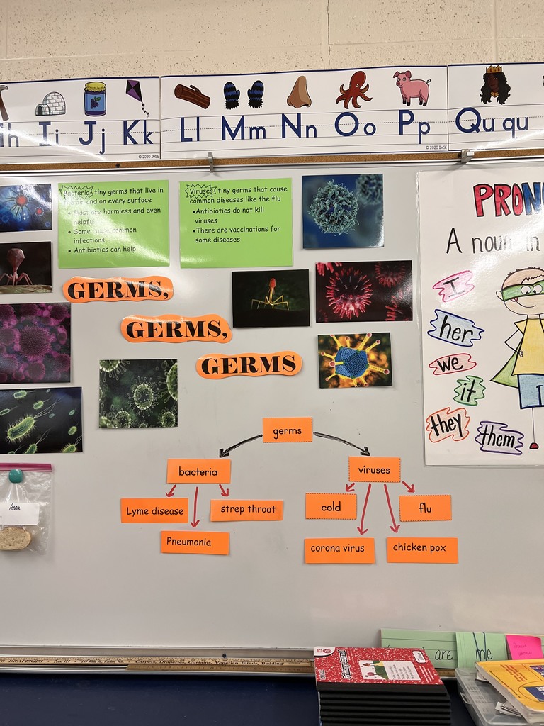 1st grade germs 3